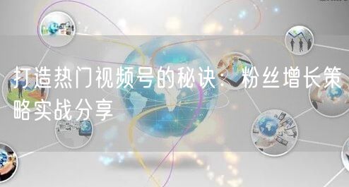 打造热门视频号的秘诀：粉丝增长策略实战分享