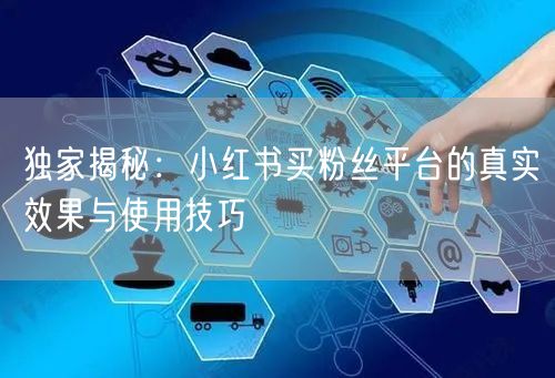 独家揭秘：小红书买粉丝平台的真实效果与使用技巧