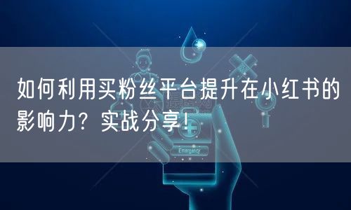 如何利用买粉丝平台提升在小红书的影响力？实战分享！