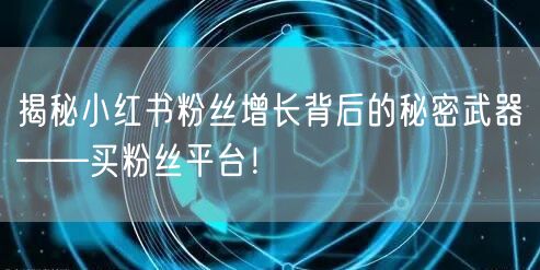 揭秘小红书粉丝增长背后的秘密武器——买粉丝平台！