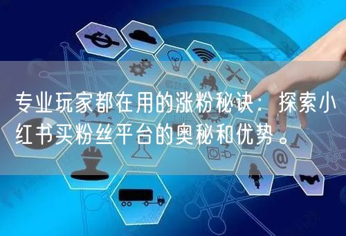 专业玩家都在用的涨粉秘诀：探索小红书买粉丝平台的奥秘和优势。