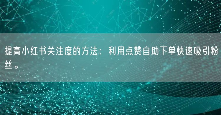 提高小红书关注度的方法：利用点赞自助下单快速吸引粉丝。