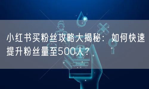 小红书买粉丝攻略大揭秘：如何快速提升粉丝量至500人？