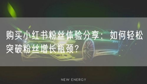 购买小红书粉丝体验分享：如何轻松突破粉丝增长瓶颈？