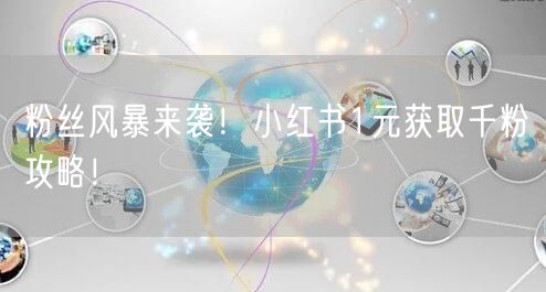 粉丝风暴来袭！小红书1元获取千粉攻略！