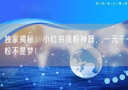 独家揭秘：小红书涨粉神器，一元千粉不是梦！