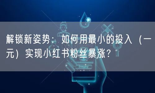 解锁新姿势：如何用最小的投入（一元）实现小红书粉丝暴涨？