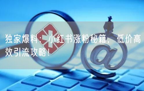 独家爆料：小红书涨粉秘籍，低价高效引流攻略！