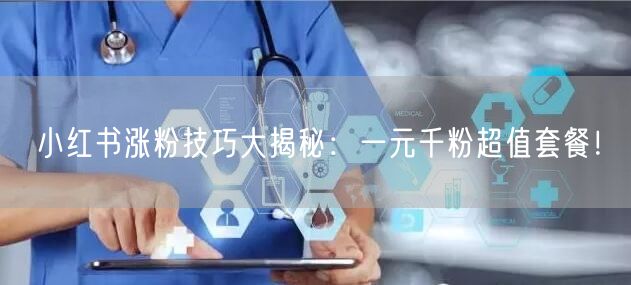 小红书涨粉技巧大揭秘：一元千粉超值套餐！