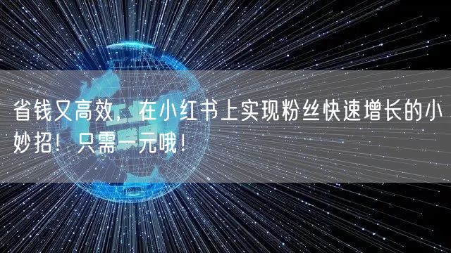 省钱又高效，在小红书上实现粉丝快速增长的小妙招！只需一元哦！