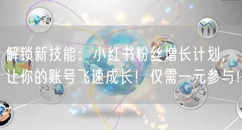 解锁新技能：小红书粉丝增长计划，让你的账号飞速成长！仅需一元参与！