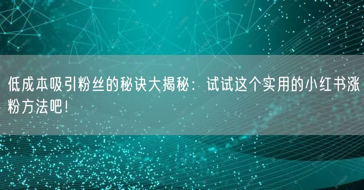 低成本吸引粉丝的秘诀大揭秘：试试这个实用的小红书涨粉方法吧！