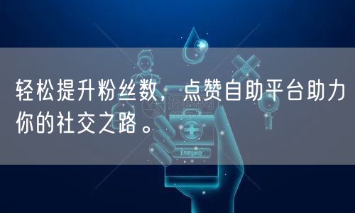 轻松提升粉丝数，点赞自助平台助力你的社交之路。