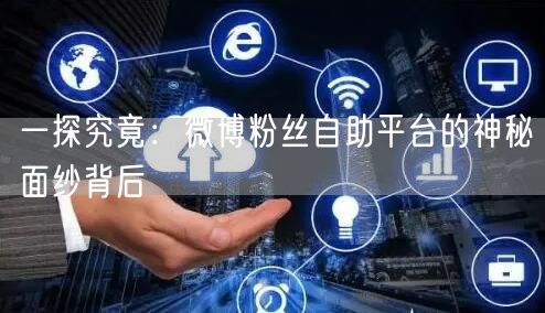 一探究竟：微博粉丝自助平台的神秘面纱背后