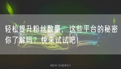 轻松提升粉丝数量，这些平台的秘密你了解吗？快来试试吧！