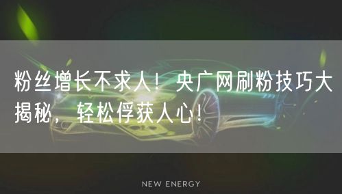 粉丝增长不求人！央广网刷粉技巧大揭秘，轻松俘获人心！