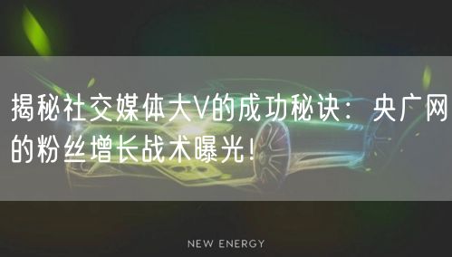 揭秘社交媒体大V的成功秘诀：央广网的粉丝增长战术曝光！