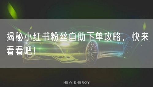 揭秘小红书粉丝自助下单攻略，快来看看吧！