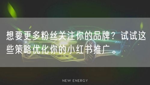 想要更多粉丝关注你的品牌？试试这些策略优化你的小红书推广。