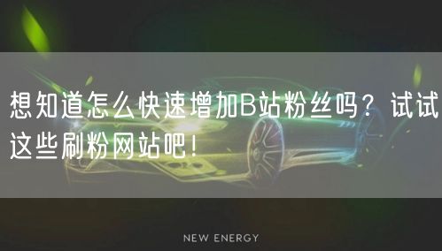 想知道怎么快速增加B站粉丝吗？试试这些刷粉网站吧！