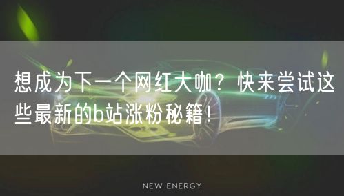 想成为下一个网红大咖？快来尝试这些最新的b站涨粉秘籍！