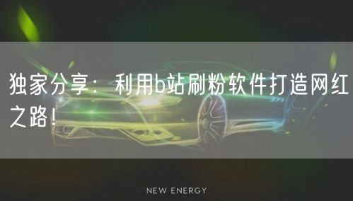 独家分享：利用b站刷粉软件打造网红之路！