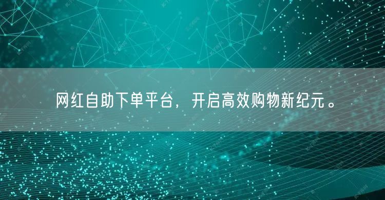网红自助下单平台，开启高效购物新纪元。