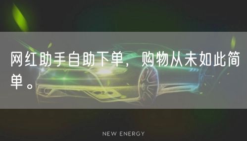 网红助手自助下单，购物从未如此简单。