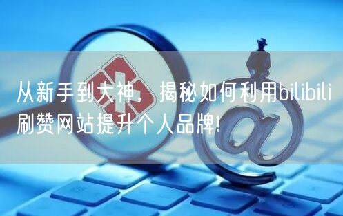 从新手到大神，揭秘如何利用bilibili刷赞网站提升个人品牌!