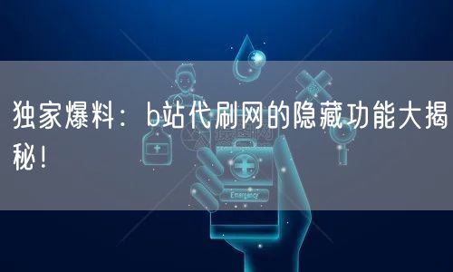 独家爆料：b站代刷网的隐藏功能大揭秘！