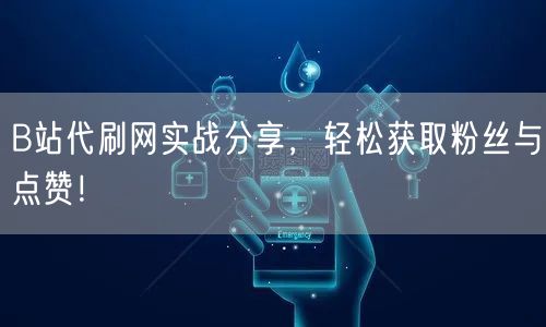 B站代刷网实战分享，轻松获取粉丝与点赞！