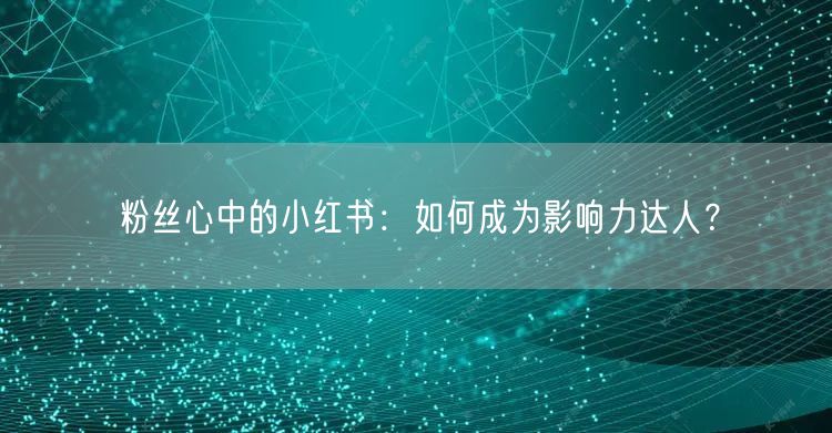 粉丝心中的小红书：如何成为影响力达人？