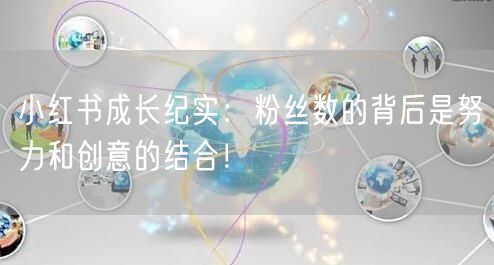 小红书成长纪实：粉丝数的背后是努力和创意的结合！