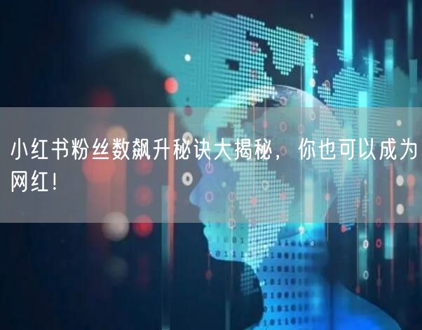 小红书粉丝数飙升秘诀大揭秘，你也可以成为网红！