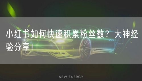 小红书如何快速积累粉丝数？大神经验分享！