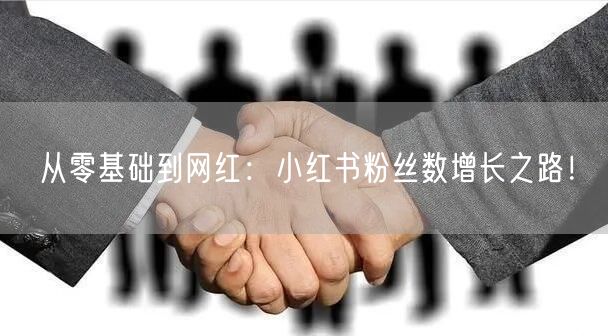 从零基础到网红：小红书粉丝数增长之路！