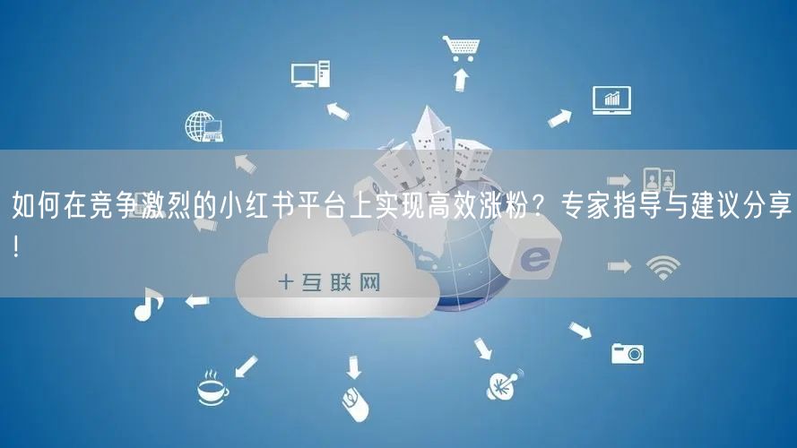 如何在竞争激烈的小红书平台上实现高效涨粉？专家指导与建议分享！