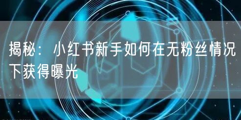 揭秘：小红书新手如何在无粉丝情况下获得曝光