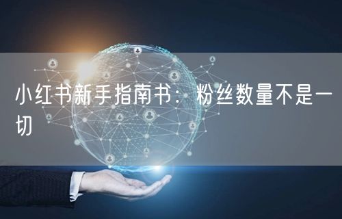 小红书新手指南书：粉丝数量不是一切