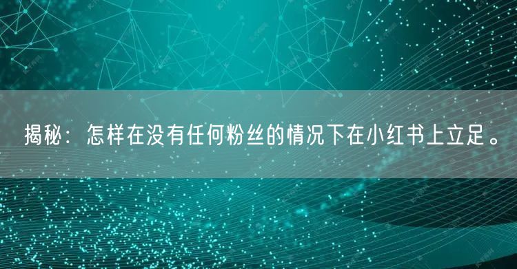 揭秘：怎样在没有任何粉丝的情况下在小红书上立足。
