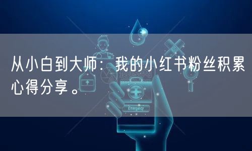 从小白到大师：我的小红书粉丝积累心得分享。