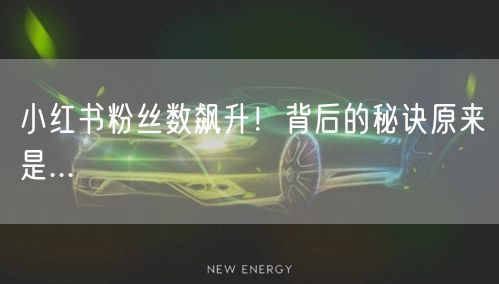 小红书粉丝数飙升！背后的秘诀原来是...