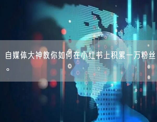 自媒体大神教你如何在小红书上积累一万粉丝。