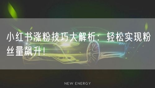 小红书涨粉技巧大解析：轻松实现粉丝量飙升！