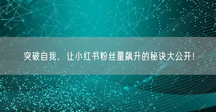 突破自我，让小红书粉丝量飙升的秘诀大公开！