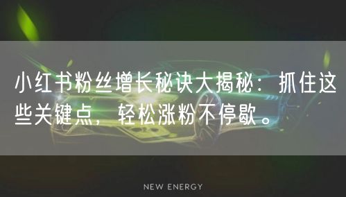 小红书粉丝增长秘诀大揭秘：抓住这些关键点，轻松涨粉不停歇。