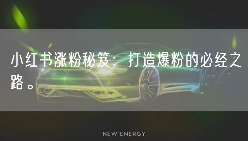 小红书涨粉秘笈：打造爆粉的必经之路。