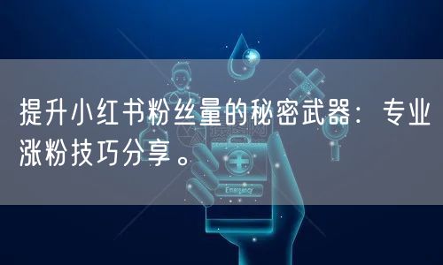 提升小红书粉丝量的秘密武器：专业涨粉技巧分享。