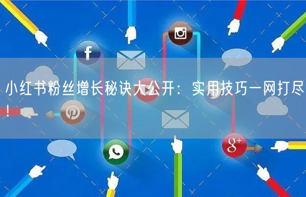 小红书粉丝增长秘诀大公开：实用技巧一网打尽！