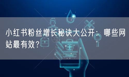 小红书粉丝增长秘诀大公开：哪些网站最有效？